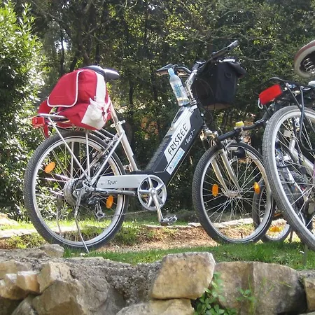 Ferienhaus Holiday Tanja Pula