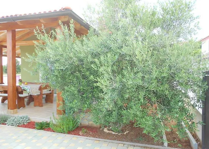 Hébergement de vacances Holiday Tanja