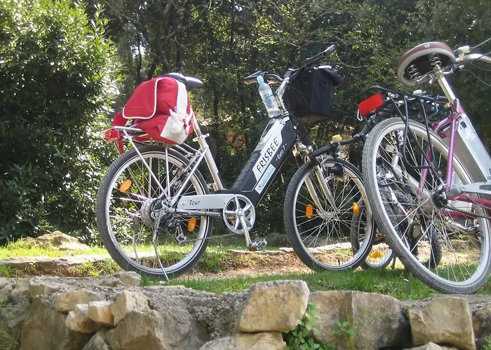 Nyaraló Holiday Tanja Póla